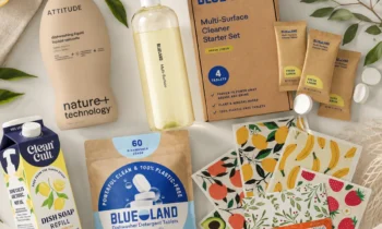 Amazon Cleaning Products