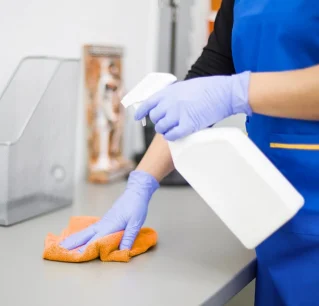 cleaning a bathroom counter