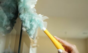 dusting at honme